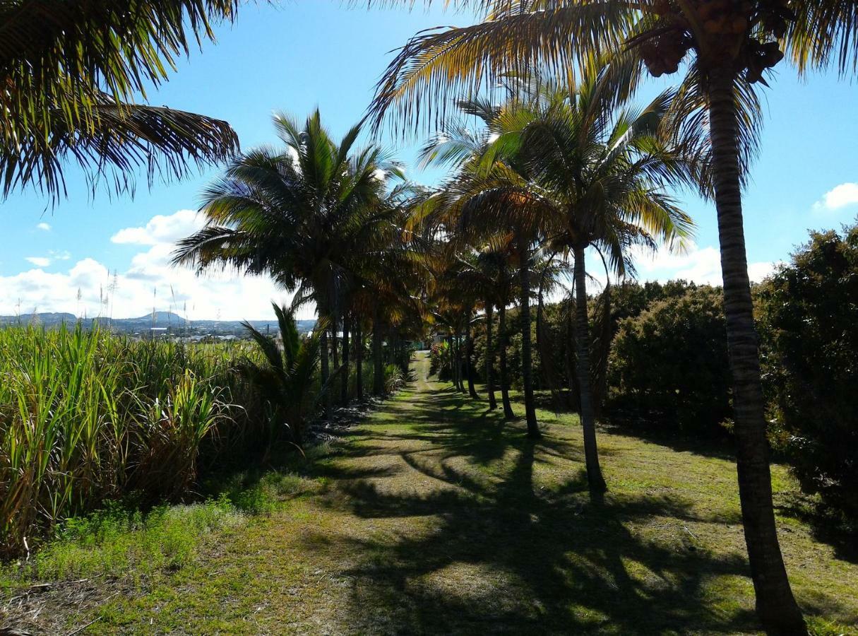 Bed and Breakfast Zoiseaux Pays Saint Pierre Exterior foto